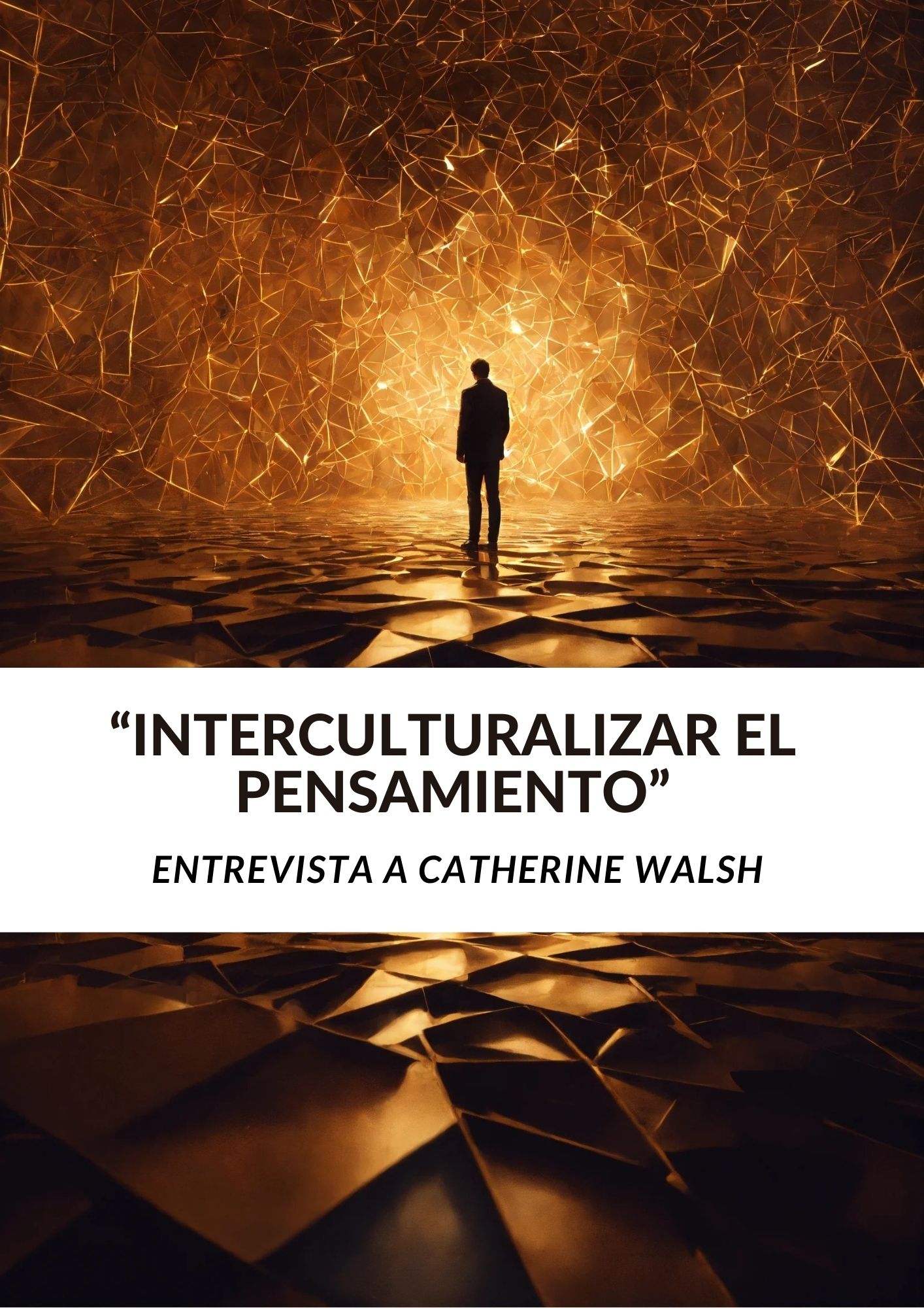 Entrevista  Catherine Walsh